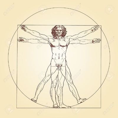 Timeline: Historia del humano