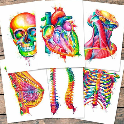 Timeline: introducción a la psicología