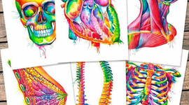 Timeline: introducción a la psicología