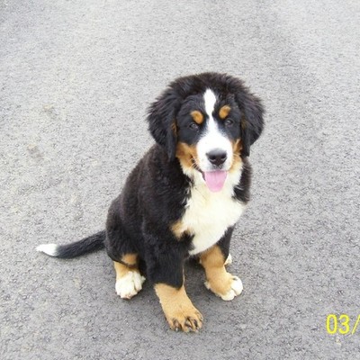 Timeline: Frida Bee's First Year