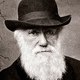 Charles darwin