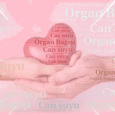 Timeline: Organ Bağışı Hayat Kurtarır