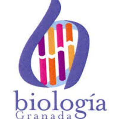 Timeline: Proyecto 6