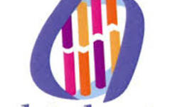 Timeline: Proyecto 6