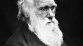 Timeline: Biografía de Darwin por Estela Ardines García