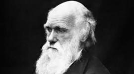 Timeline: Biografía de Darwin