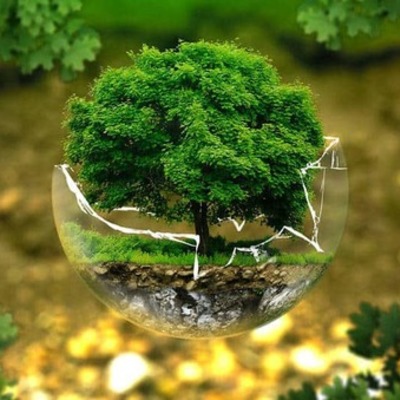 Timeline: Principales actuaciones contra el cambio climático