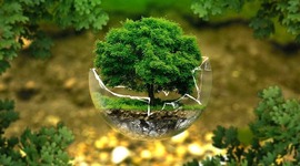 Timeline: Principales actuaciones contra el cambio climático