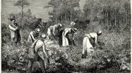Timeline: Slavery in the South