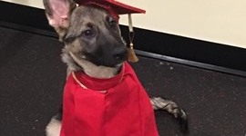 Timeline: Westward Expansion