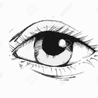 Timeline: QUINS ESPORTS HE FET