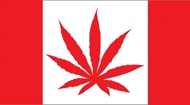 Timeline: History Of a Law- Legalization of Cannabis in Canada