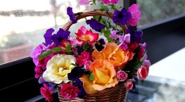 Timeline: fLOVErs(Skibidi)