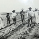 Sharecroppers
