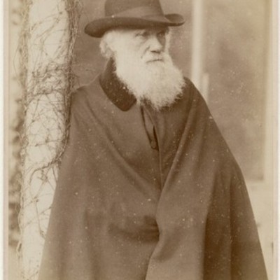 Timeline: Charles Darwin