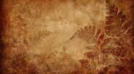 Timeline: Apush period 5