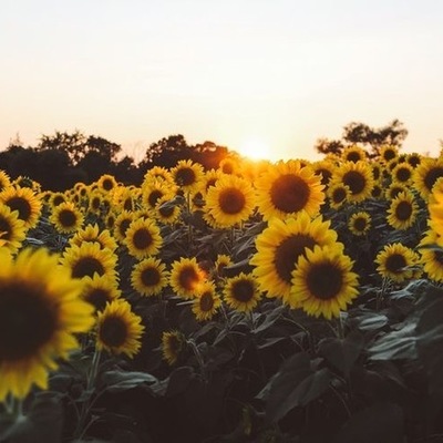 Timeline: Tijdlijn CKV