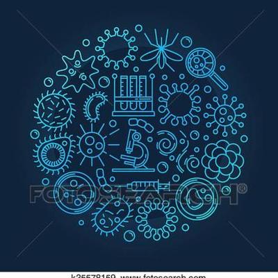 Timeline: Antecedentes de la microbiologia