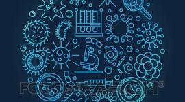 Timeline: Antecedentes de la microbiologia