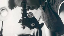 Timeline: Rosalind Franklin