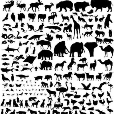 Timeline: Evolution de la notion d'espèce