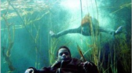 Timeline: Deures_Nadal_catala