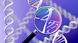 Timeline: Hitos históricos Genética