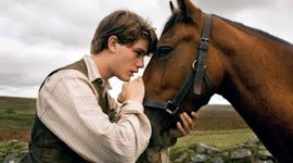 Timeline: War horse