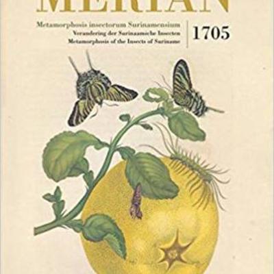 Timeline: Maria Sibylla Merian