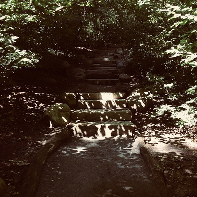 Timeline: Period 5 TIMELINE