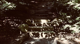 Timeline: Period 5 TIMELINE