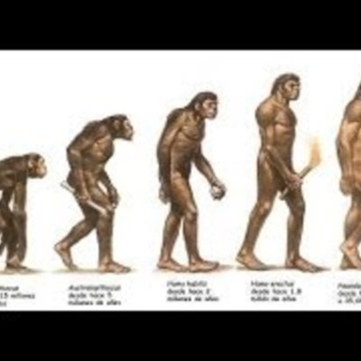 Timeline: EVOLUCIÓN HUMANA