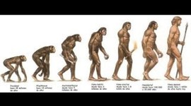 Timeline: EVOLUCIÓN HUMANA