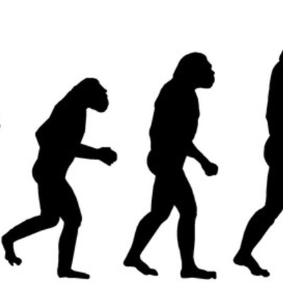 Timeline: Evolución Humana