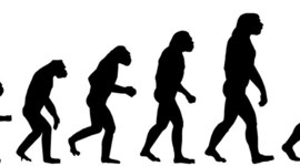 Timeline: Evolución Humana