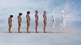 Timeline: Desarrollo de la teoría de la evolución