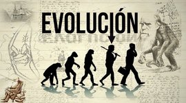 Timeline: Teoría del desarrollo evolutivo