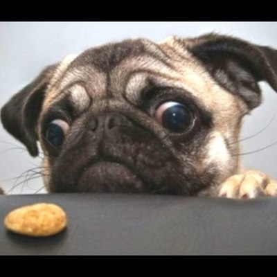 Timeline: Seth and Asher