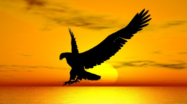 Timeline: US History B Timeline