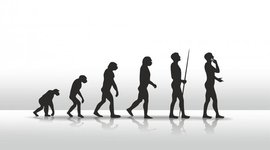 Timeline: Origen y evolución de la humanidad