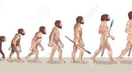 Timeline: La evolución humana