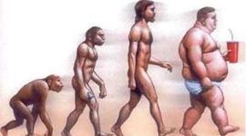 Timeline: EVOLUCIÓN HUMANA