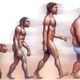 Evolucion humana sobrepeso