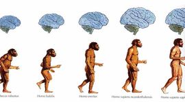 Timeline: LA EVOLUCIÓN DEL HOMBRE