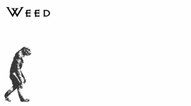 Timeline: LA EVOLUCIÓN DEL HOMBRE