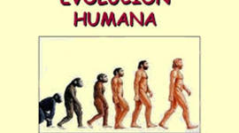 Timeline: La evolución humana