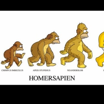 Timeline: La evolución humana