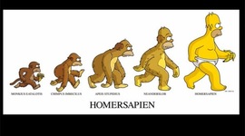 Timeline: La evolución humana