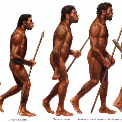 Timeline: La evolución humana