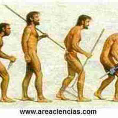Timeline: Evolución humana